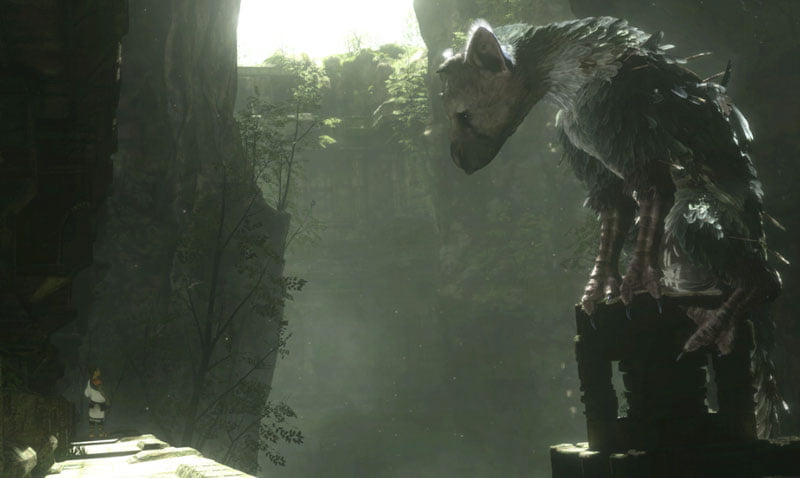 the last guardian