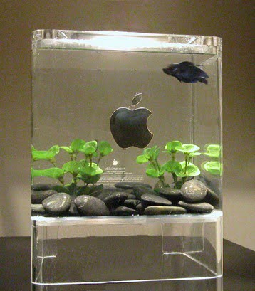 macvarium