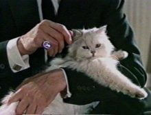 blofeld