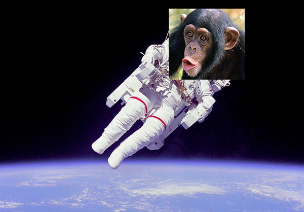spacemonkey